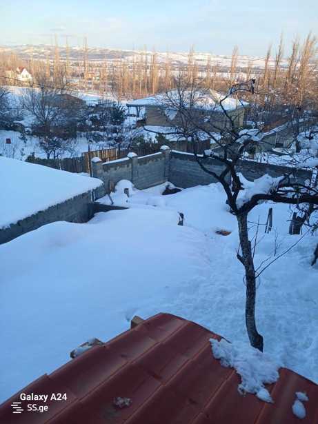 https://static.ss.ge/20260223/13_ae8cb600-bb31-4a45-b402-f383582b30fb_Thumb.jpg