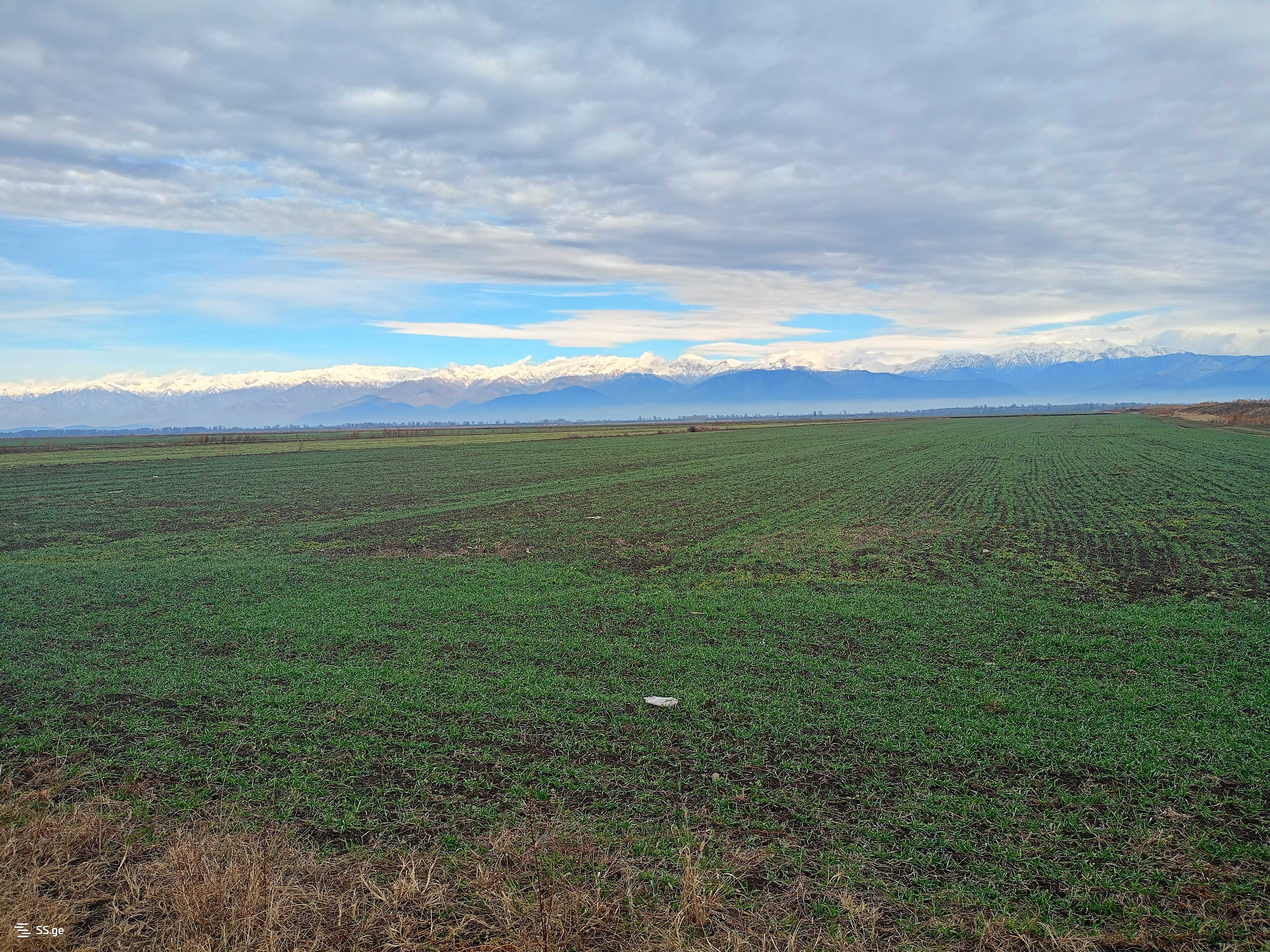 Land For Sale. Signagi view 2
