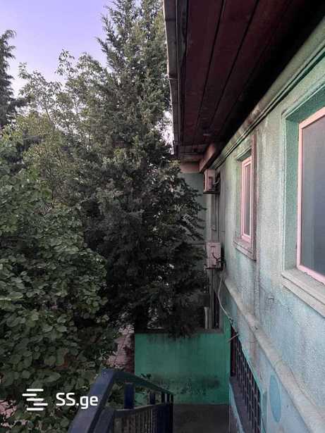 https://static.ss.ge/20260223/15_a174d454-5209-48be-8dca-c4a4cc187fef_Thumb.jpg
