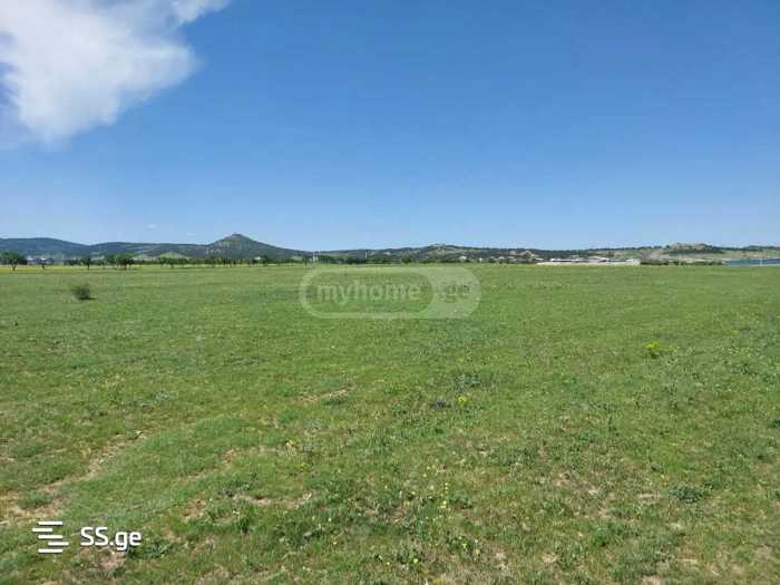 Land For Sale. Okami