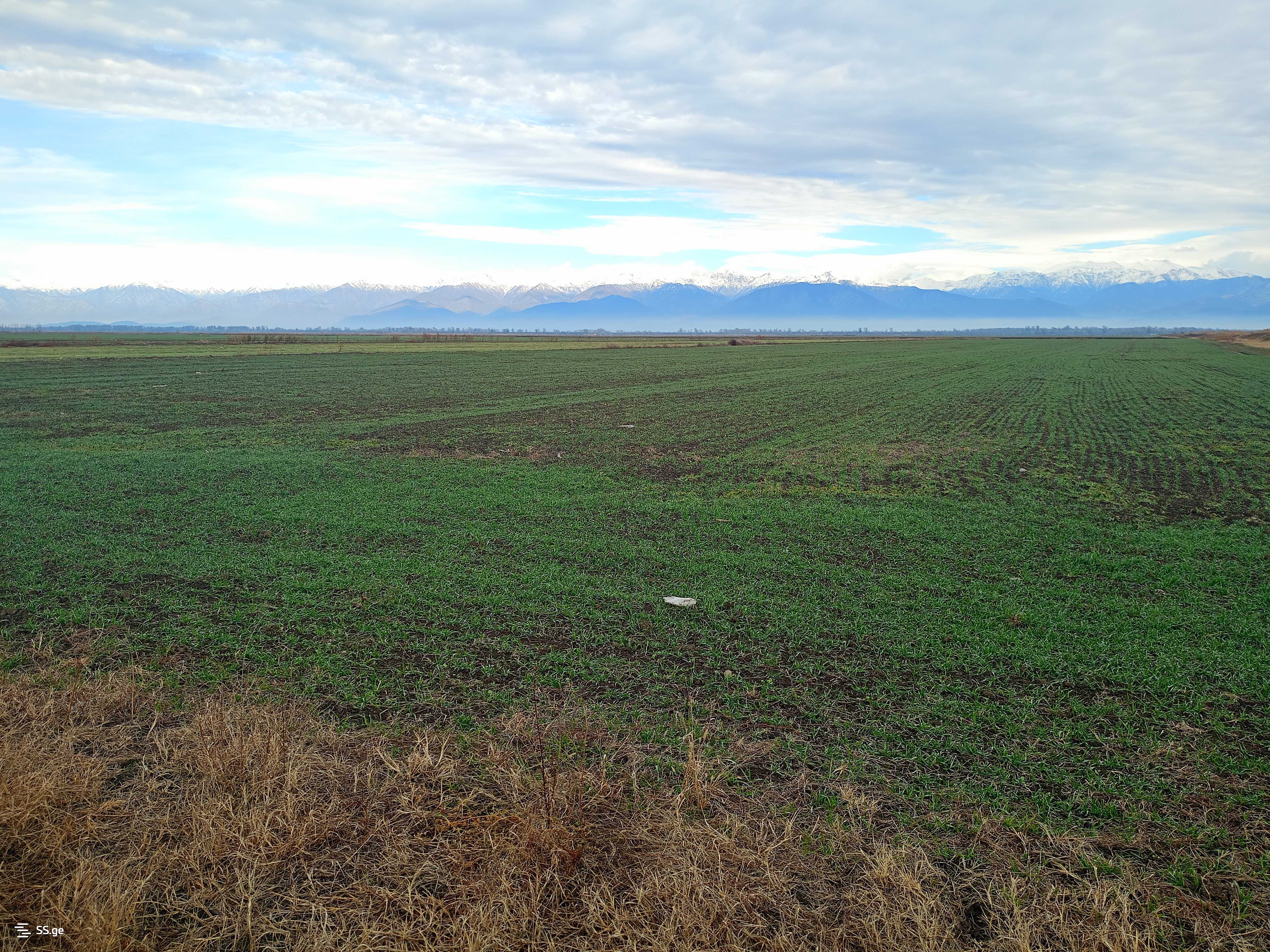 Land For Sale. Signagi view 4