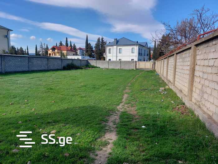 https://static.ss.ge/20260223/3_e888d2ba-d98b-4a9e-8650-4678993b37ab_Thumb.jpg