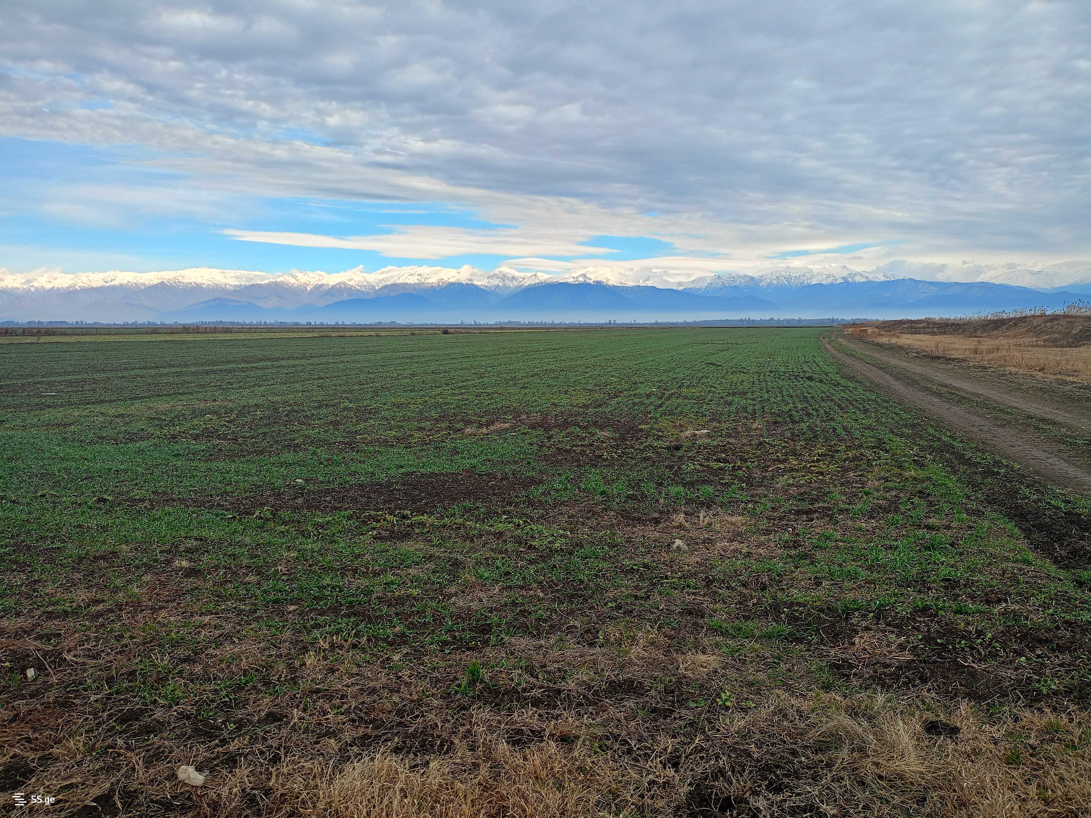 Land For Sale. Signagi view 1
