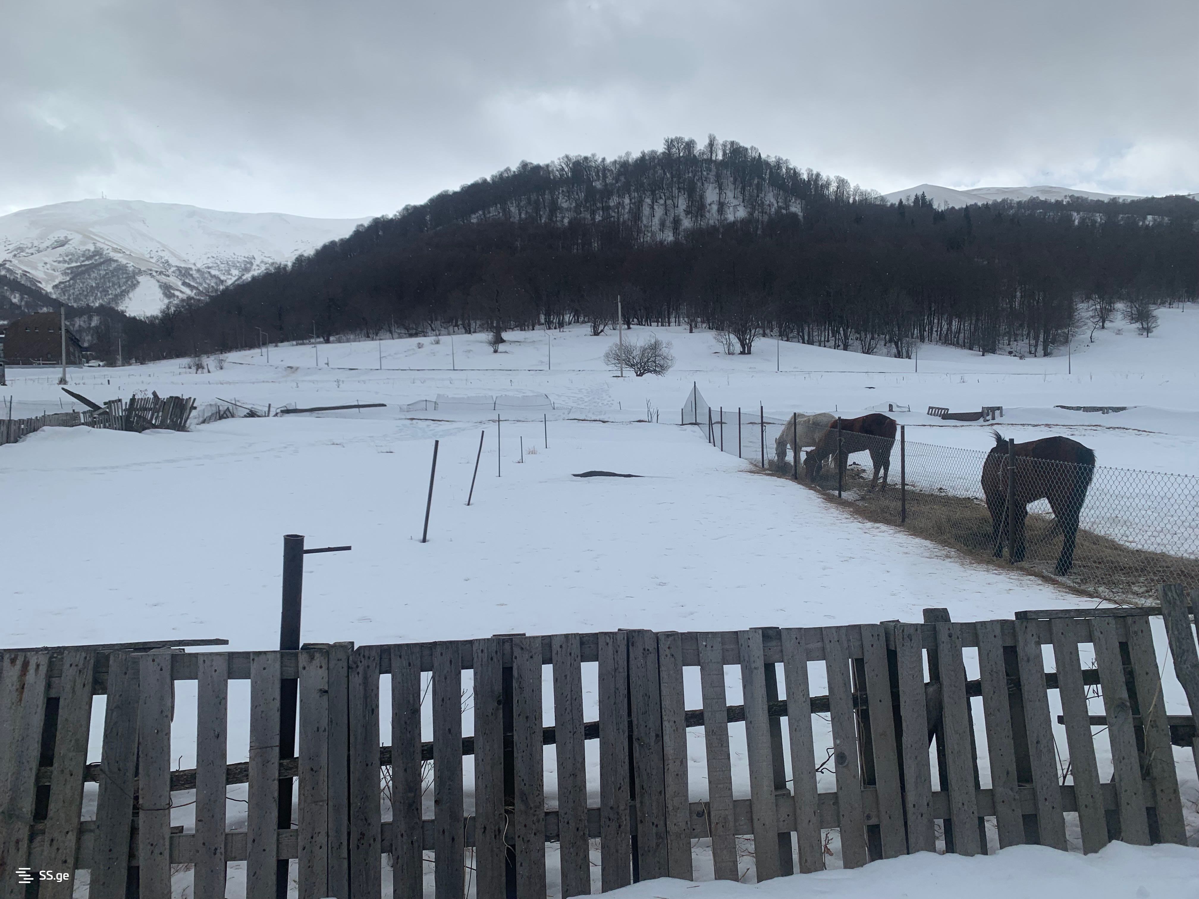 Продажа Земля в Бакуриани, 8 of 12