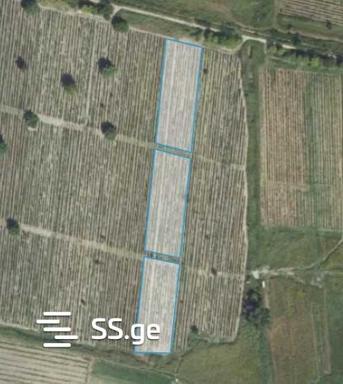 Land For Sale. Sagarejo view 3