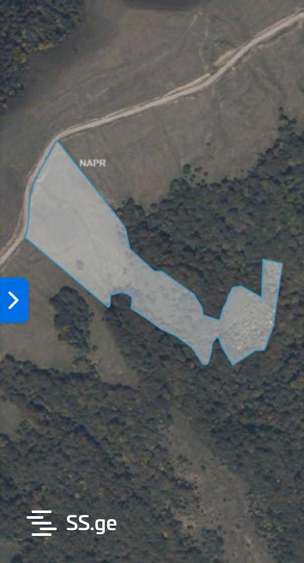 Land For Sale. Orbeti view 28