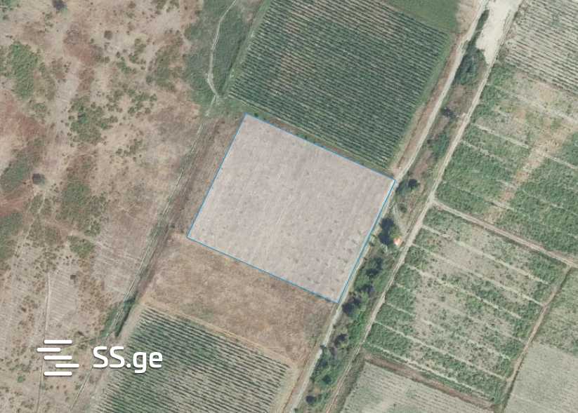 Agricultural Plot For Sale In Akhmeta view 8