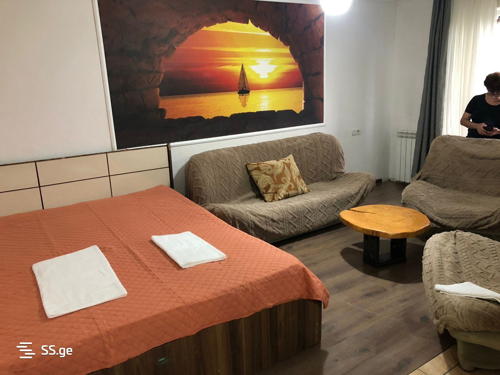 1 room Flat Daily rent. Saburtalo - Ansicht 2