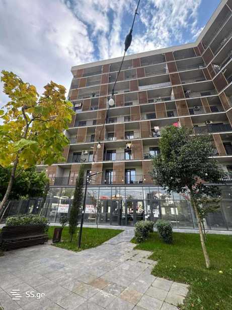 https://static.ss.ge/20260224/16_14420b9e-ffb4-48f8-b182-a8931321272f_Thumb.jpg
