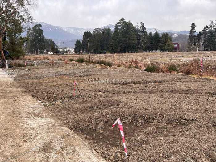 Land For Sale. Kobuleti
