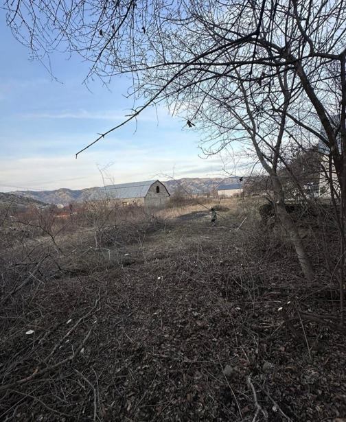 4 room Summer Cottage For Sale. Dzegvi