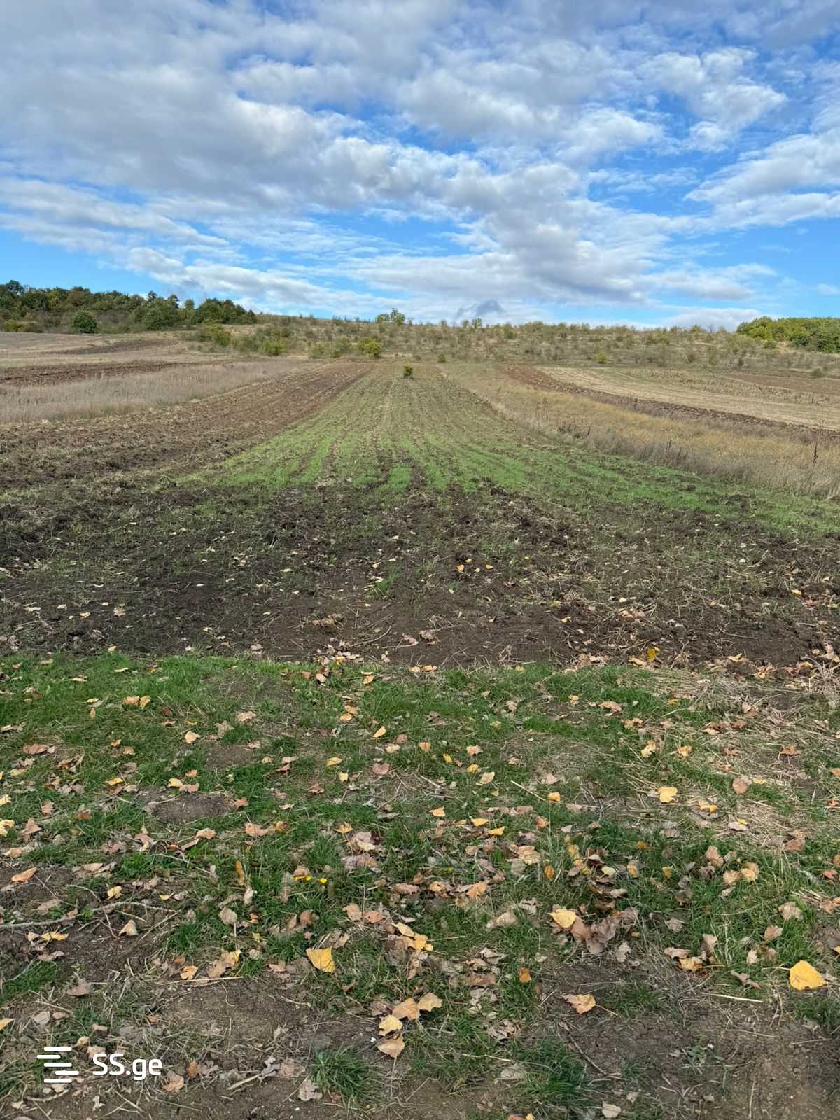 Land For Sale. Khashuri view 4