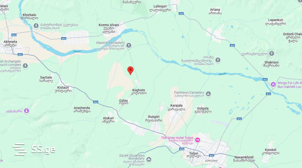 Agricultural Plot For Sale In Akhmeta view 9