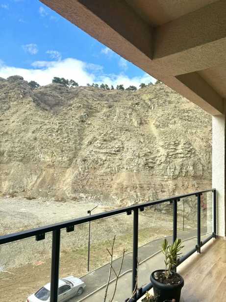 https://static.ss.ge/20260224/8_14fde9d3-b2f4-49bb-b3c5-4c6040658acd_Thumb.jpg