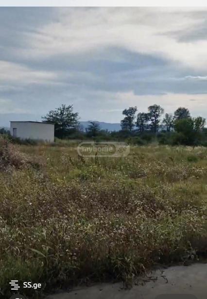 https://static.ss.ge/20260224/9_e1f88d07-e66a-4f5d-b93b-47f09e505315_Thumb.jpg