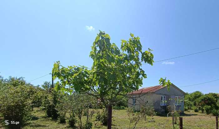 Land For Sale. Anaklia