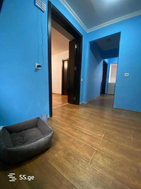 https://static.ss.ge/20260225/10_b1331837-88a6-4be4-93b9-f30432736622_Thumb.jpg