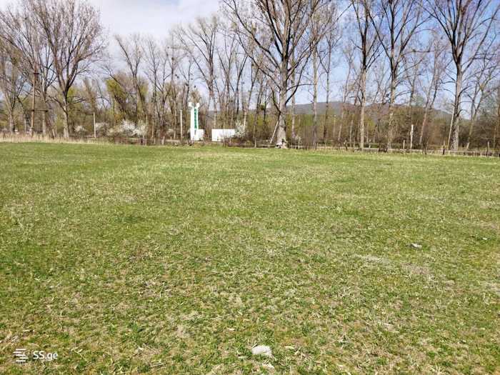 Land For Sale. Tianeti