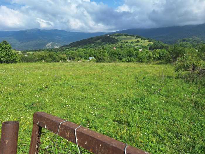 Land For Sale. Telavi
