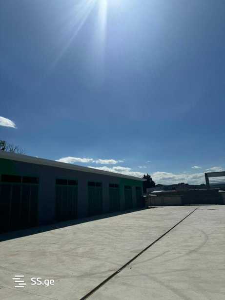 https://static.ss.ge/20260225/14_5a4a96cc-f250-448f-8e78-46a47e56baf2_Thumb.jpg