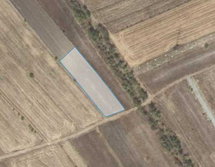 Land For Sale. Bazaleti