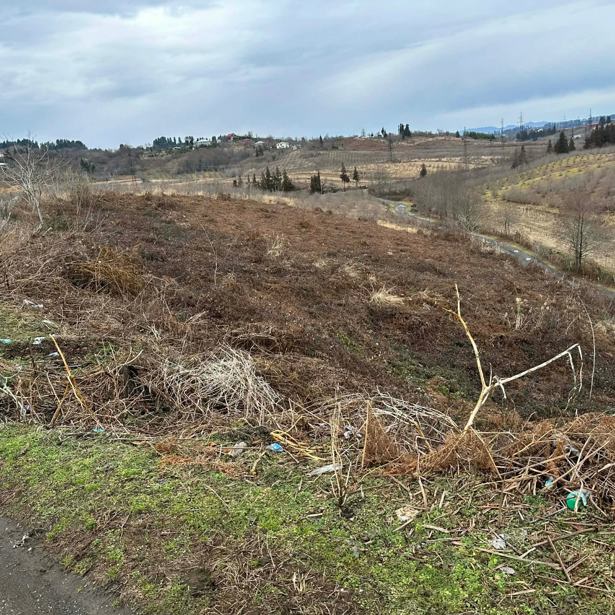 Land For Sale. Patara Poti