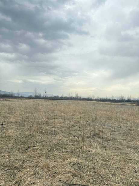 Land For Sale. Kaspi