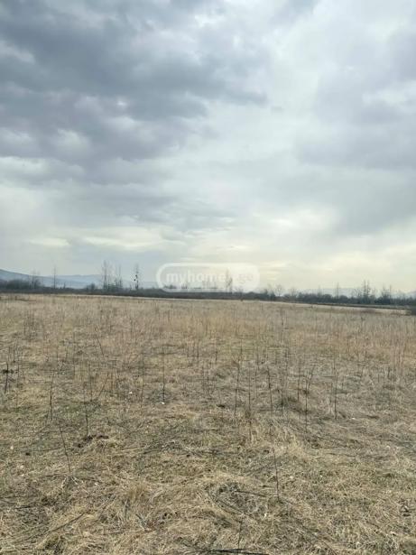Land For Sale. Okami
