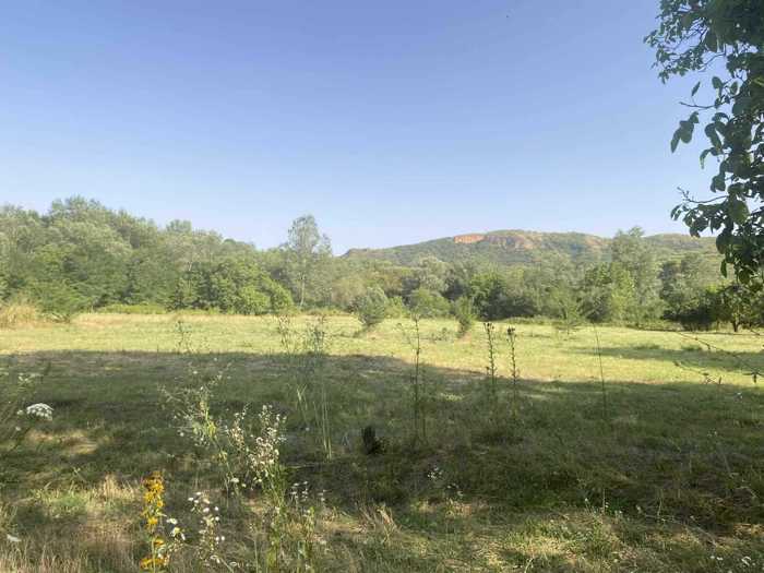 Land For Sale. Jorjiashvili