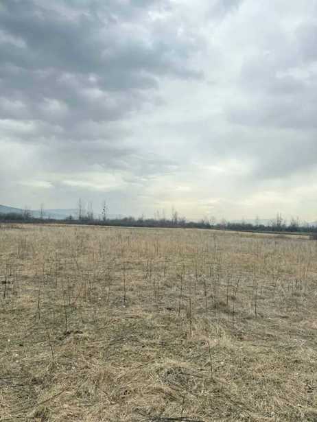 Land For Sale. Kaspi
