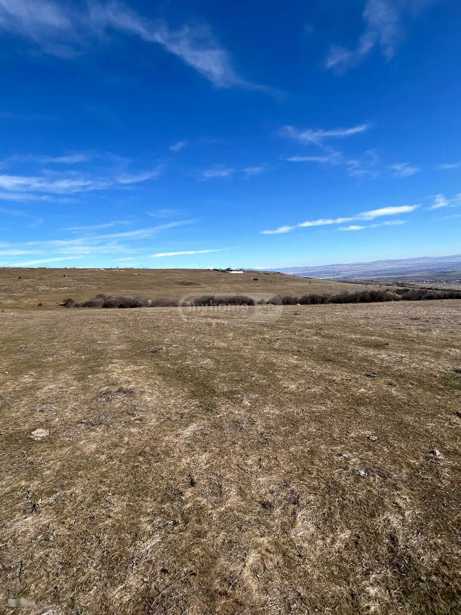 Land For Sale. Tabakhmela