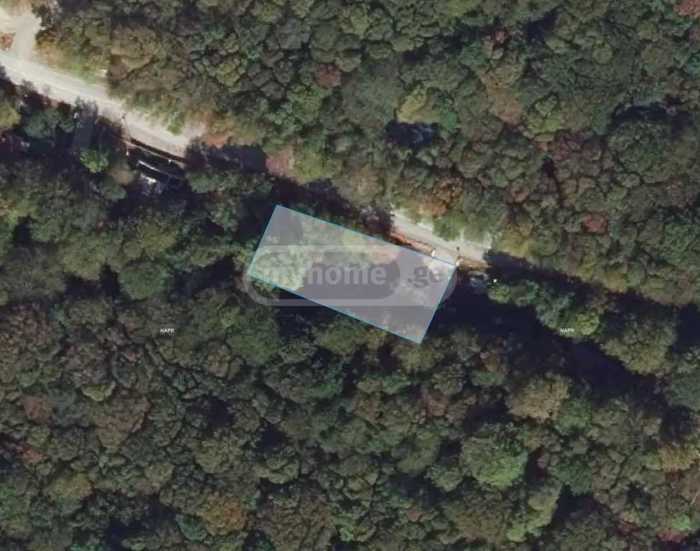 Land For Sale. Tskhvarichamia