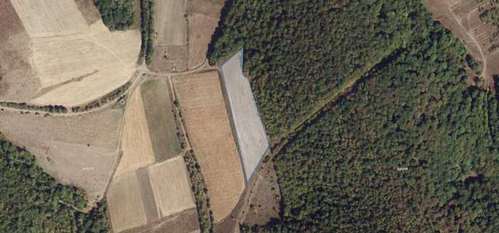 Land For Sale. Bazaleti