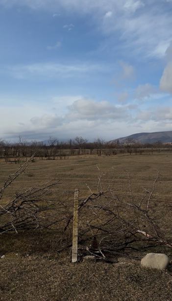 Land For Sale. Mukhrani