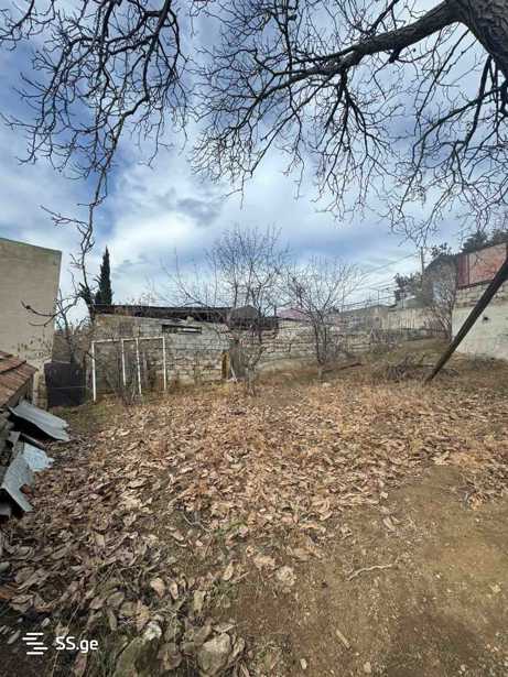 https://static.ss.ge/20260225/5_73ce163a-7b66-454e-9014-c50680375fb5_Thumb.jpg