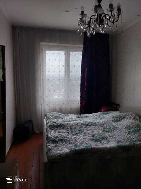 https://static.ss.ge/20260225/5_c8e4513e-e5b8-416d-a268-e09a7c187966_Thumb.jpg