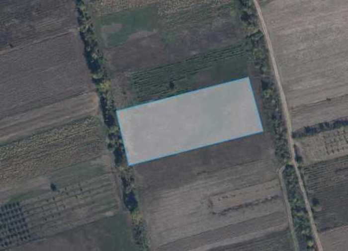 Land For Sale. Okami