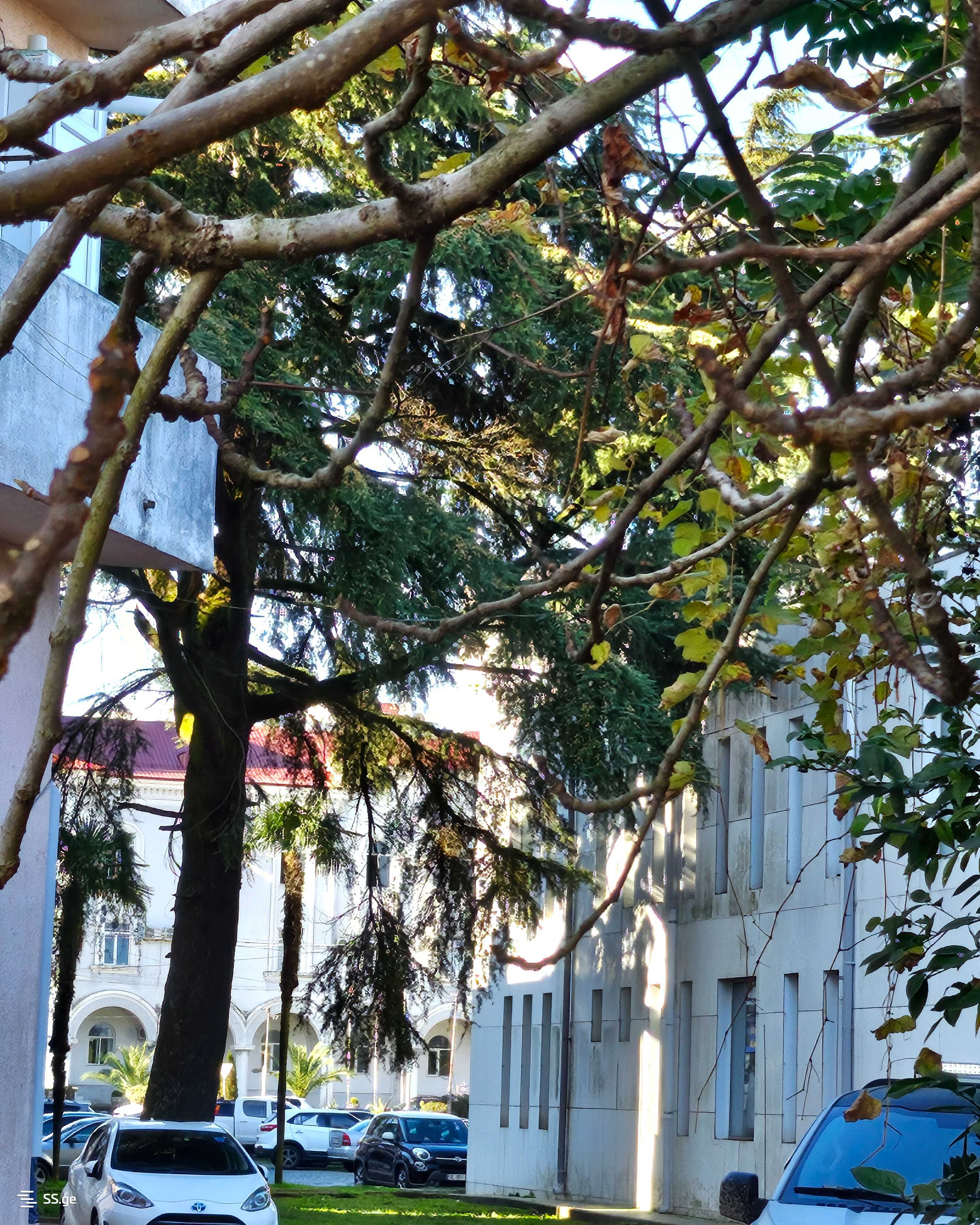4 Room Private House For Rent. Kobuleti view 9