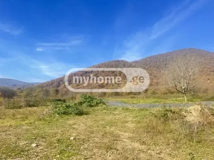 Land For Sale. Telavi