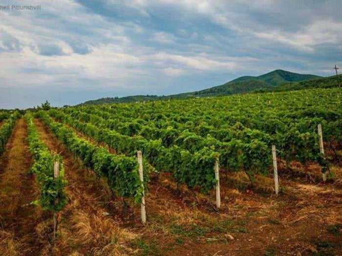 Land For Sale. Akhalsopeli