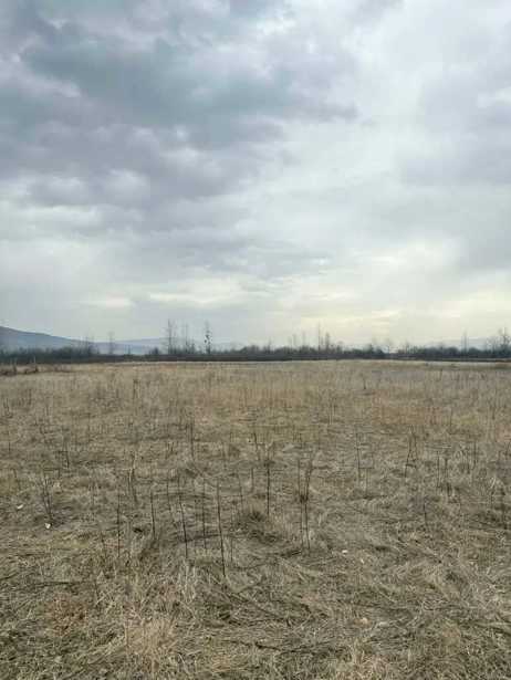 Land For Sale. Okami