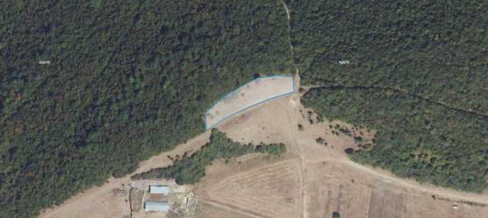 Land For Sale. Dusheti