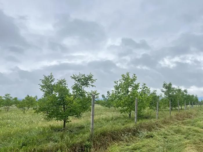 Land For Sale. Ozhio