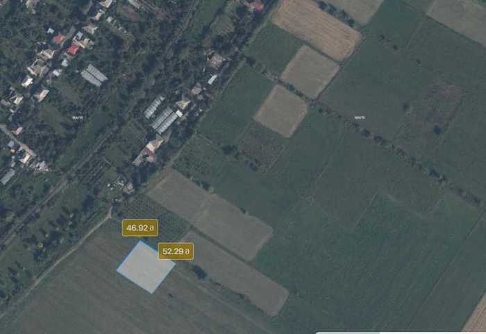 Land For Sale. Shulaveri