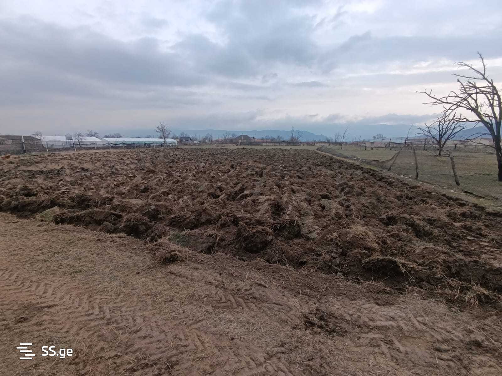 Land For Sale. Mukhrani view 4
