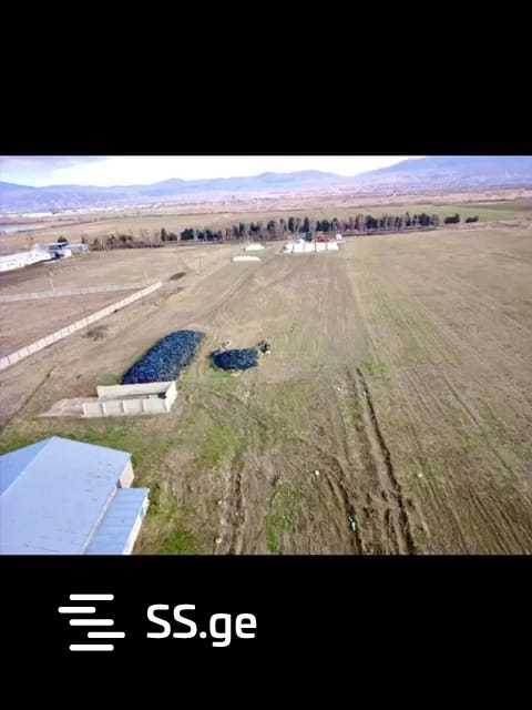 იყიდება Store-Industrial Property ცილკანიში view 8