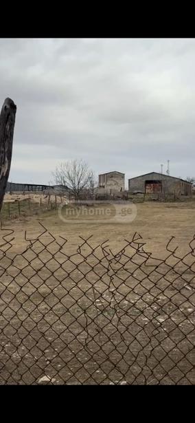 Land For Sale. Ninotsminda