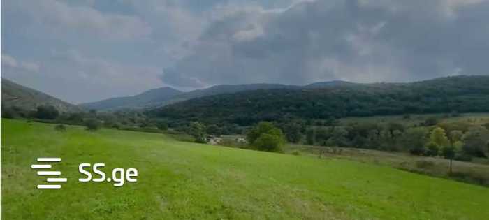 https://static.ss.ge/20260226/13_3bd292c7-bf8d-4b3f-8cbc-652b9a96cb9c_Thumb.jpg