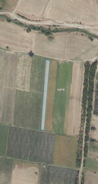 Land For Sale. Badiauri