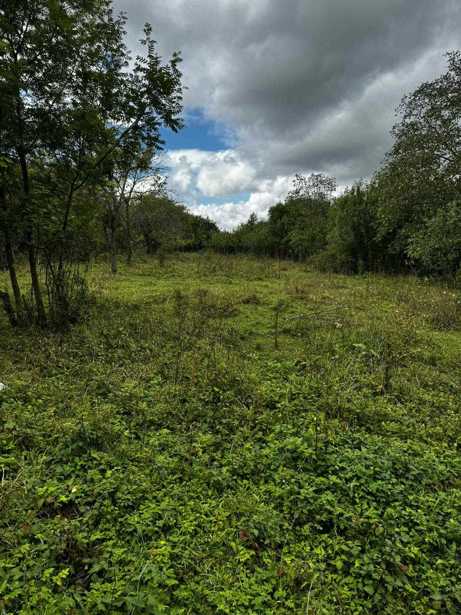 Land For Sale. Trani